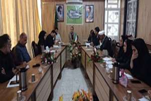 نشست کمیته پیشگیری از خودکشی شبکه بهداشت ودرمان پاسارگاد  