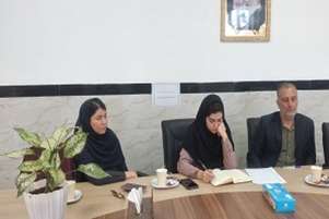 برگزاری جلسه ارتقای کیفی و کمی برنامه‌های غربالگری شنوایی نوزادان و بینایی کودکان ۳ تا ۶ ساله در شهرستان پاسارگاد