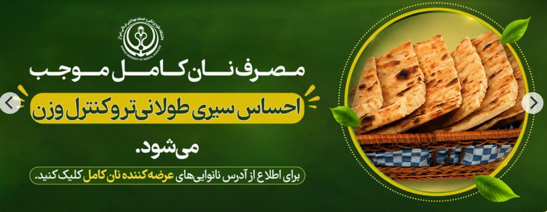 نان سالم 
